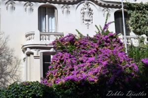 flowers-on-the-building-wall-nice-12