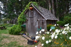 garden-shed-in-botanical-gardens-10