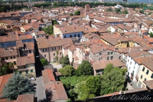 many-rooftops-lucca-italy-09