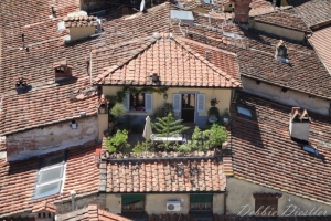 rooftops-in-italy-2