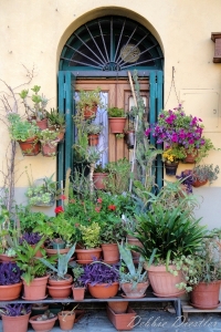 door-and-flower-pots-in-italy