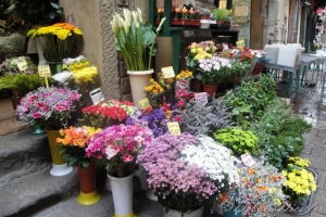 flower-market-in-bologna-italy