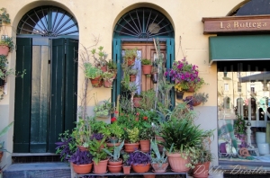 flower-pots-and-doors-in-italy