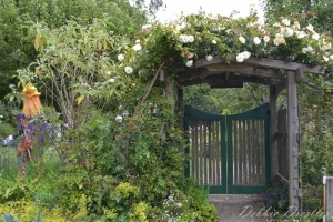 garden-gate-in-botanical-gardens-10