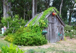 lush-green-garden-shed-10