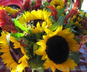 sunflowers-sonoma-ca-oct-11