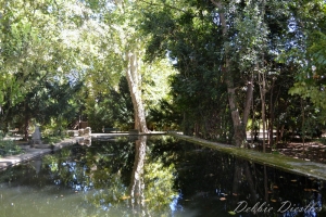 paul-cezzanes-resident-pond-aix-en-provence-12