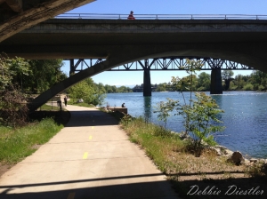 river-trail-in-redding-ca-spring-13