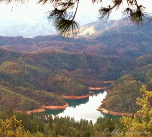 shasta-lake-view