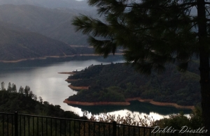 shasta-lake