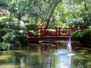 stockton-zoo-bridge-and-gardens-in-summer-11