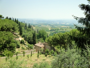 the-hill-town-of-san-gimignano-09