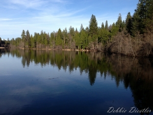 woodridge-lake-reflection-in-shingletown