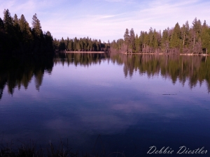 woodridge-lake-shingletown-ca