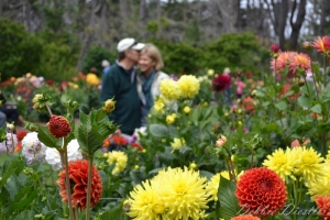 whispers-of-love-in-the-botanical-gardens-10